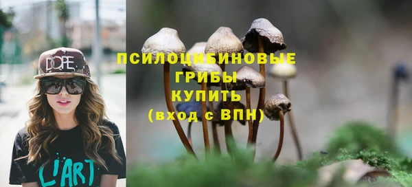 прущая мука Магадан