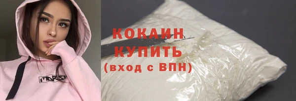 дживик Абаза
