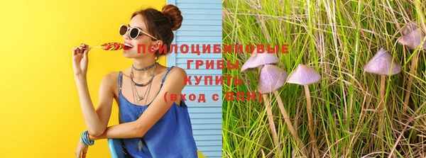 дживик Абаза
