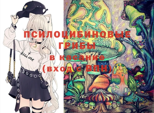 дживик Абаза
