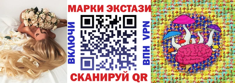 где найти   Эртиль  мега рабочий сайт  Наркотические марки 1,8мг 